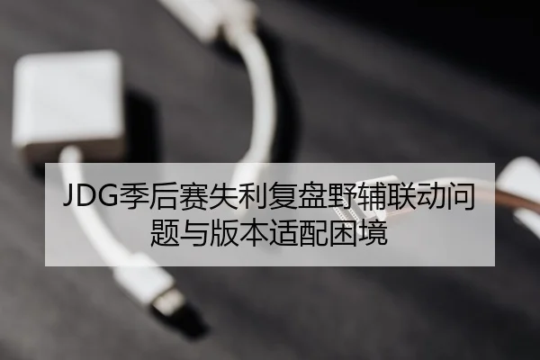 JDG季后赛失利复盘野辅联动问题与版本适配困境